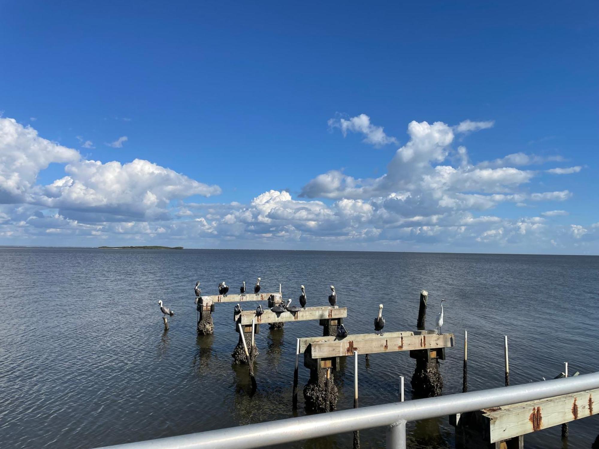 Cedar Key Florida Condo At Park Place Exteriér fotografie