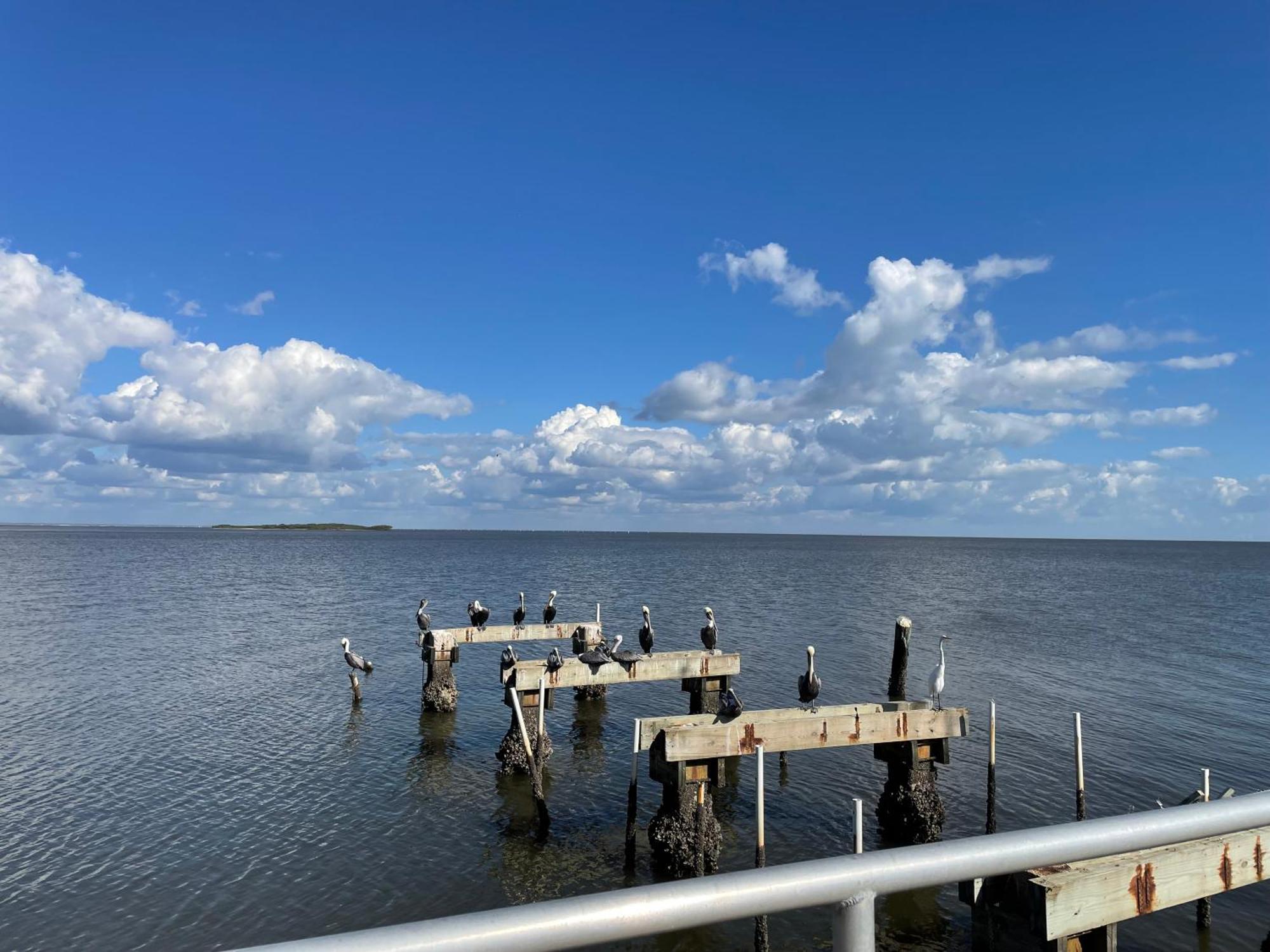 Cedar Key Florida Condo At Park Place Exteriér fotografie